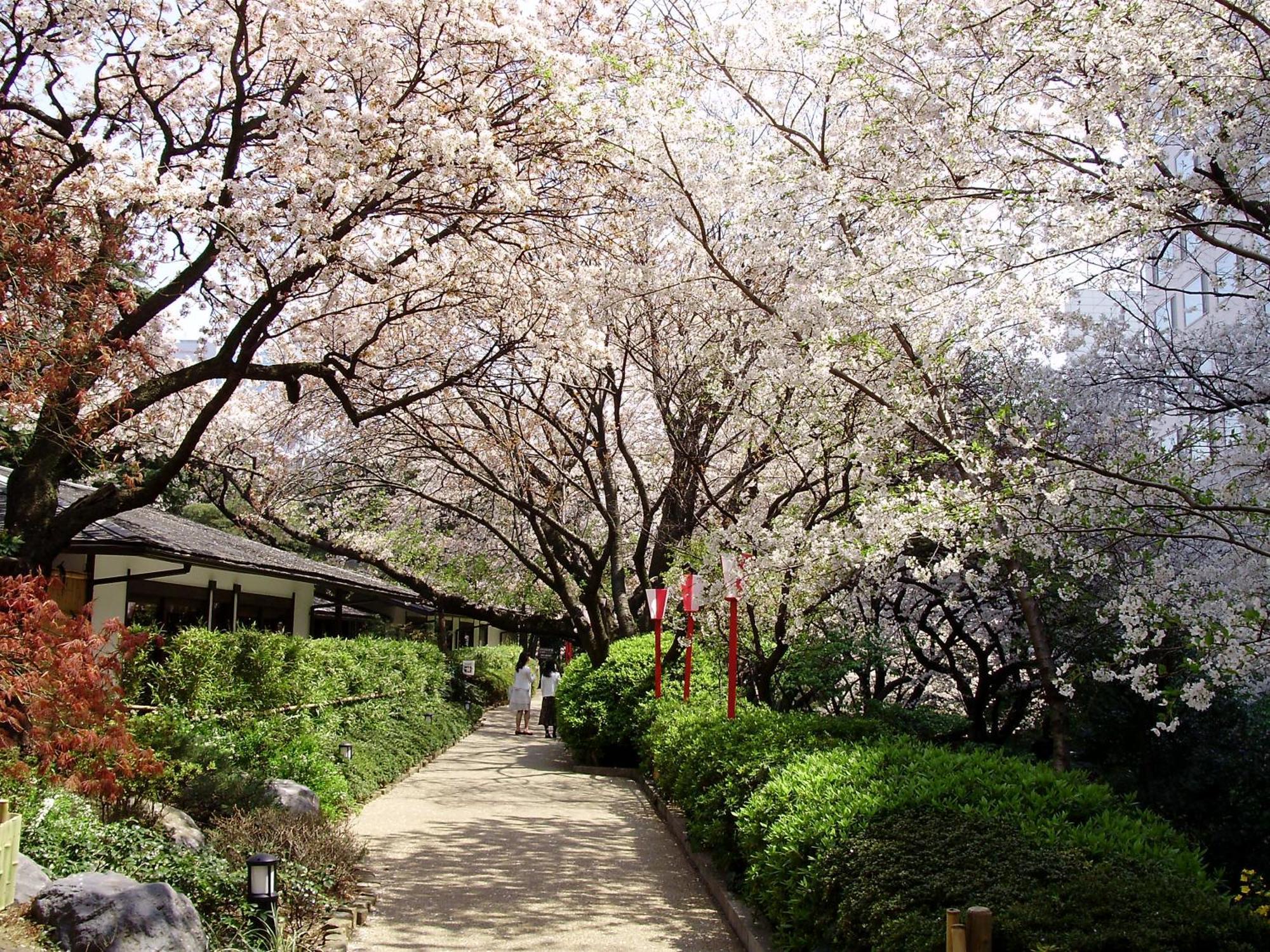 Grand Prince Hotel Shin Takanawa Токио Екстериор снимка A street in Takayama
